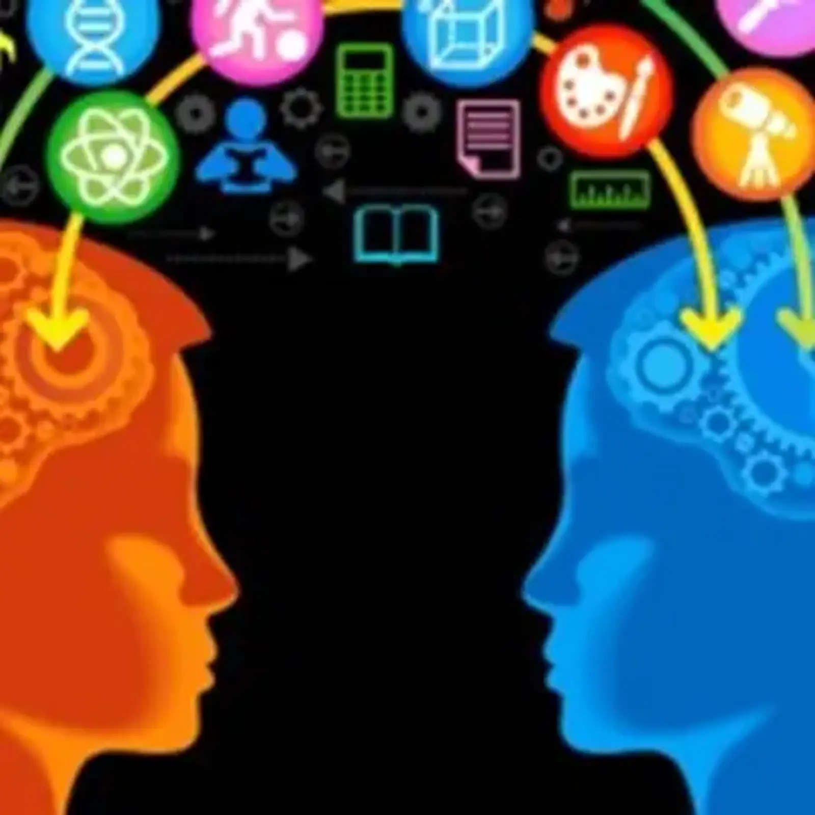 knowledge transfer