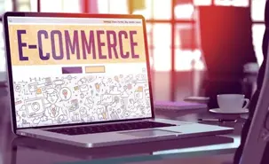 Ecommerce screen small